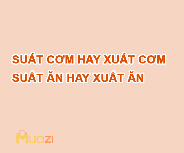 Suất cơm hay xuất cơm - Suất ăn hay xuất ăn