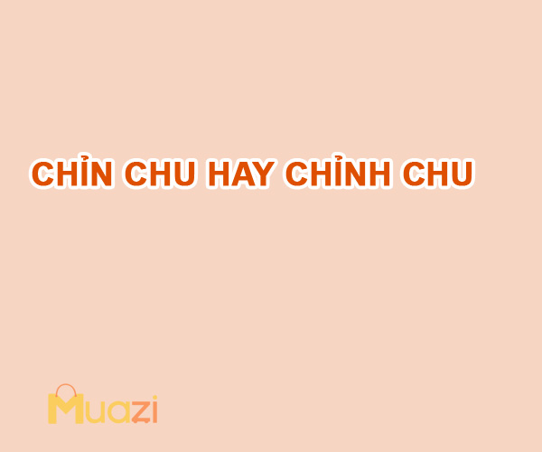 Chỉn chu hay Chỉnh chu