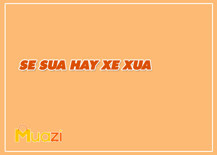 Se sua hay Xe xua là đúng chính tả?