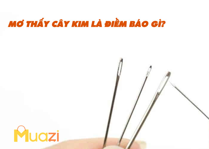 Ngủ Mơ Thấy Cây Kim Là Điềm Báo Gì?