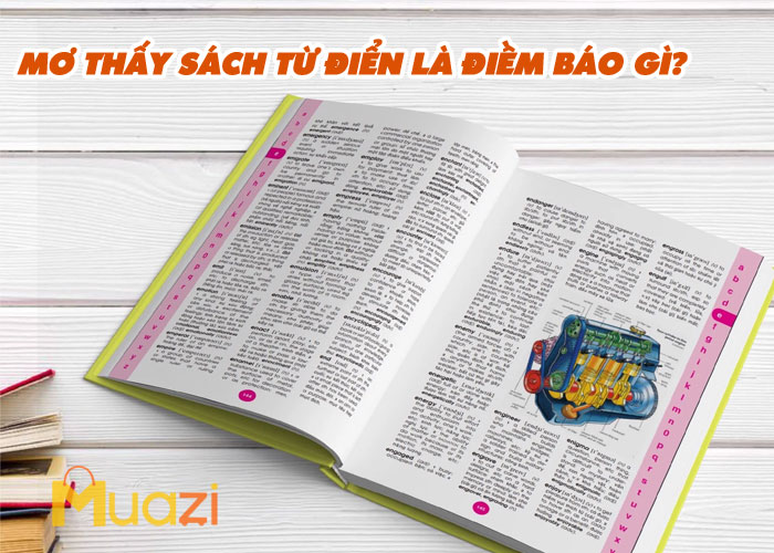 Ngủ Mơ Thấy Cuốn Sách Từ Điển Là Điềm Báo Gì?